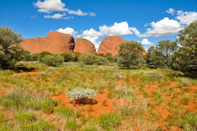 Alice Springs Desert Park General Entry Ticket - Park Attractions and Features