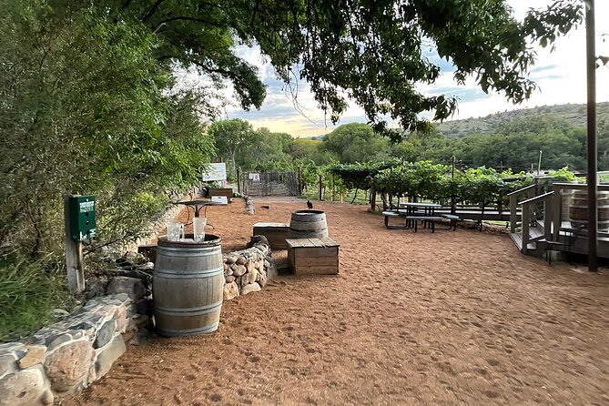 All Inclusive Sedona Join in Wine Tour 200+ 5 Star Reviews! - Health and Accessibility