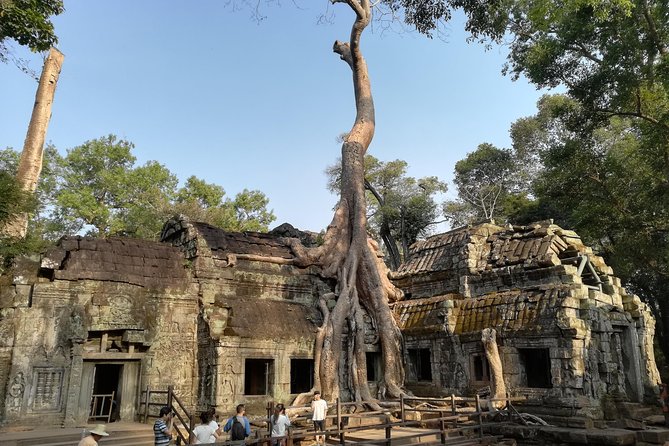 Angkor Wat Small Circuit Tour - Tour Experience and Activities