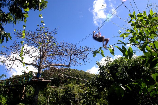 Antigua Zipline Canopy Adventure From St John'S - Health and Safety Guidelines