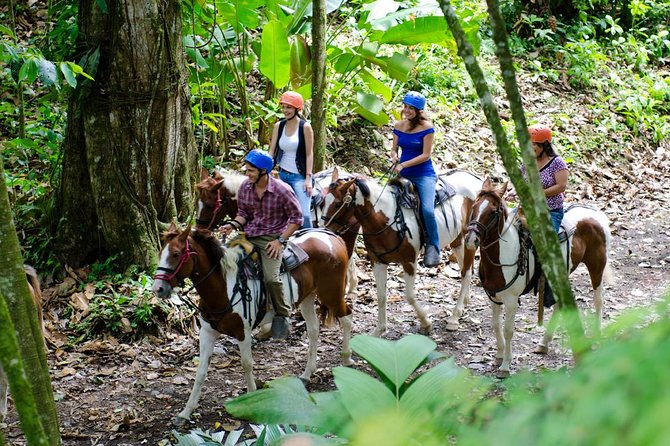 Arenal Volcano River Horseback Riding Tour - Meeting and Pickup Details