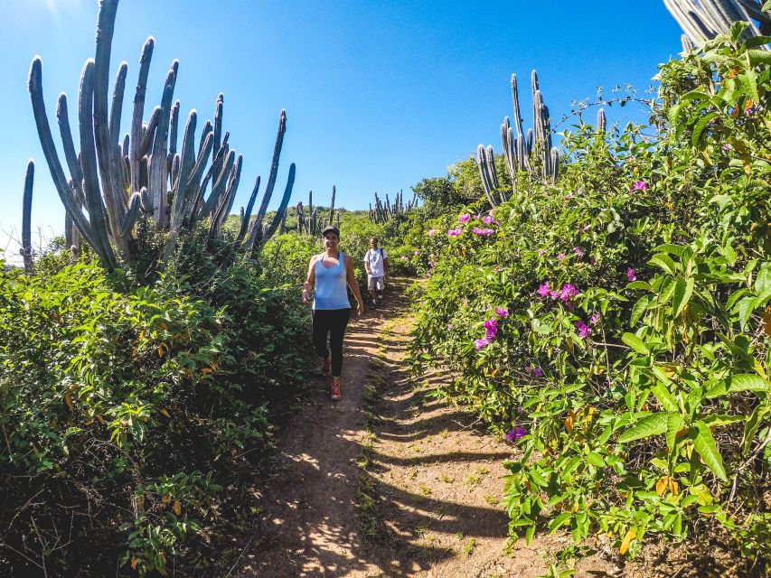 Armação Dos Búzios: Walk Through the Natural Pools in Búzios - Highlights of the Experience