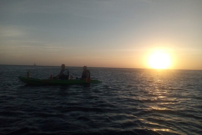 Aruba Night Glass Kayak Tour - Health and Safety