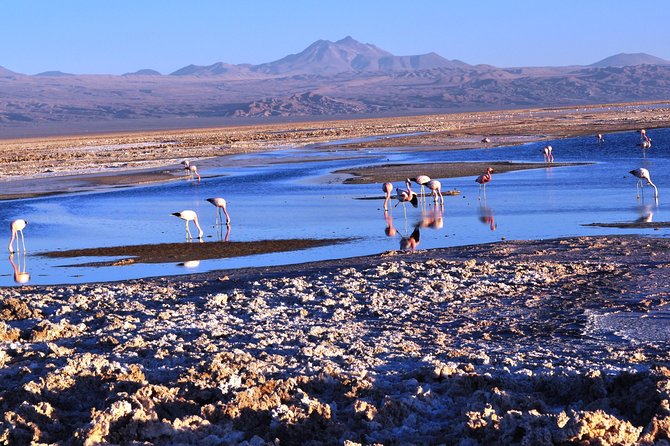 Atacama Salt Flat & Piedras Rojas Tour From San Pedro De Atacama - Itinerary and Schedule