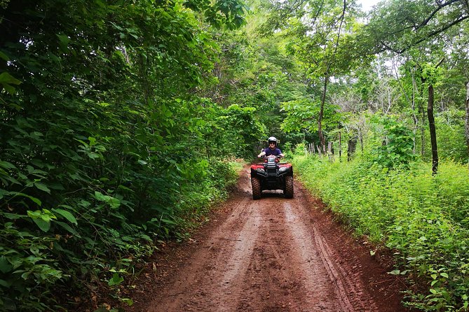 ATV Adventure From Riu, Secrets and Papagayo - Inclusions and Amenities