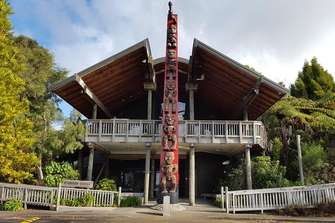 Auckland City Highlights, Afternoon Piha Beach & Rainforest Tour - Itinerary Highlights