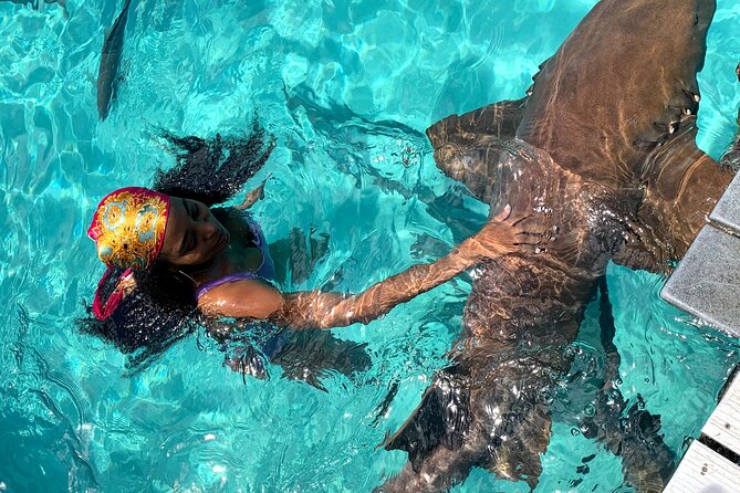 *Authentic Swimming Pigs Tour*Shark Encounter*Feed Iguanas* - Wildlife Encounters