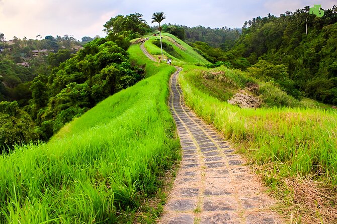 Bali Full Day-Tour: Ubud Sightseeing Trip - Transportation Details