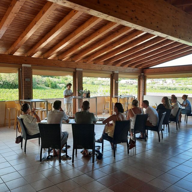 Bardolino: Vineyard Tour With Wine, Olive Oil & Food Tasting - Vineyard Experience