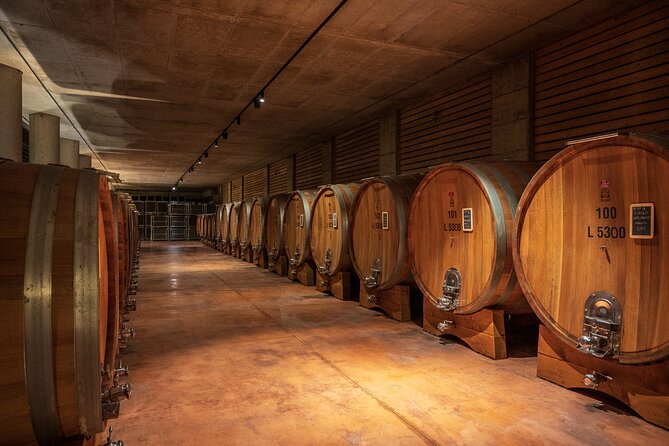 Barolo Wine Tour - Inclusions and Transportation