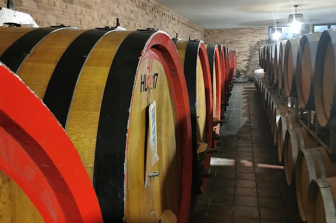 Barolo&Barbaresco Wine Tour With a Local Winemaker - Experience With a Local Winemaker