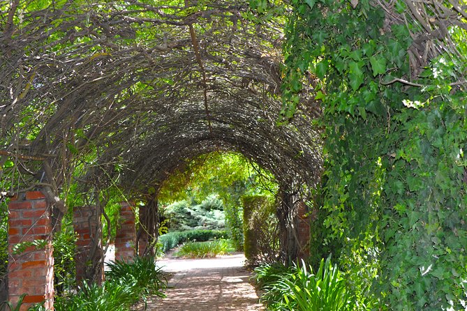 Barossa Valley Cellar Door Small Group Tour - Included Features