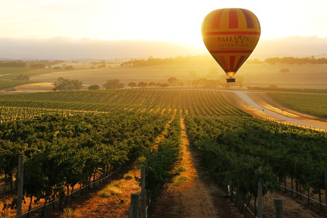 Barossa Valley Hot Air Balloon Ride With Breakfast - Meeting and Pickup Details