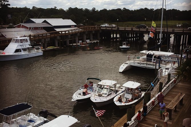 Behind the Scenes of Shem Creek Shrimp Walking Tour - Experience and Highlights