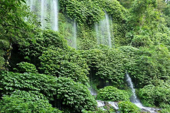 Best Lombok Rice Terrace Walking Tour With Waterfall & Monkey - Inclusions and Amenities