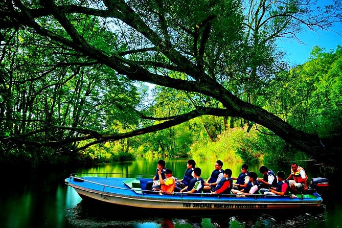 Bintan Mangrove Discovery Tour - Wildlife Encounters