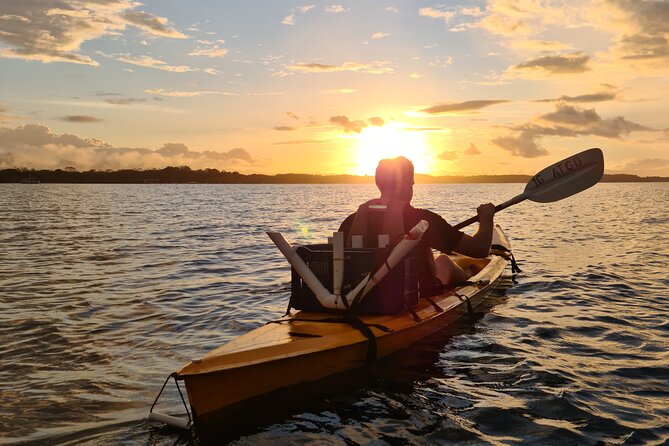 Bio-Luminescence and Sunset Kayak Tour - Experience Highlights