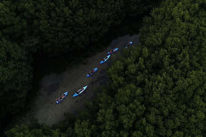 Bioluminescent Bay Kayak Adventure Tour From San Juan - Tour Logistics