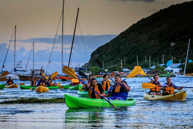 Bioluminescent Night Kayaking With Transport From San Juan - Location Details