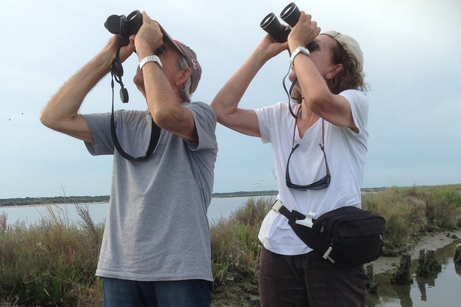 Birdwatching by Boat in a Small Group in the Pialassa Baiona - Experience With Birdwatching Marina Romea