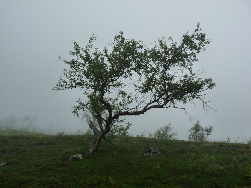 Bloody Stockholm: Ghosts, Horror and Dark Folklore 2h - Historical Context of Folklore