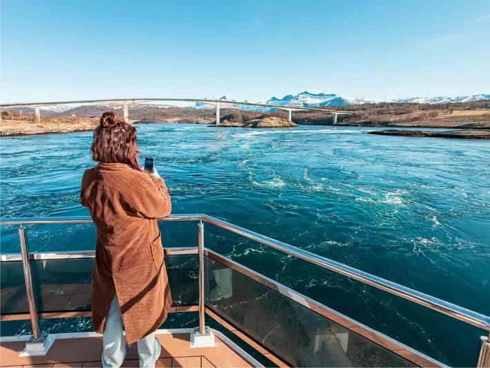 Bodø: Arctic Light Cruise - Experience and Highlights