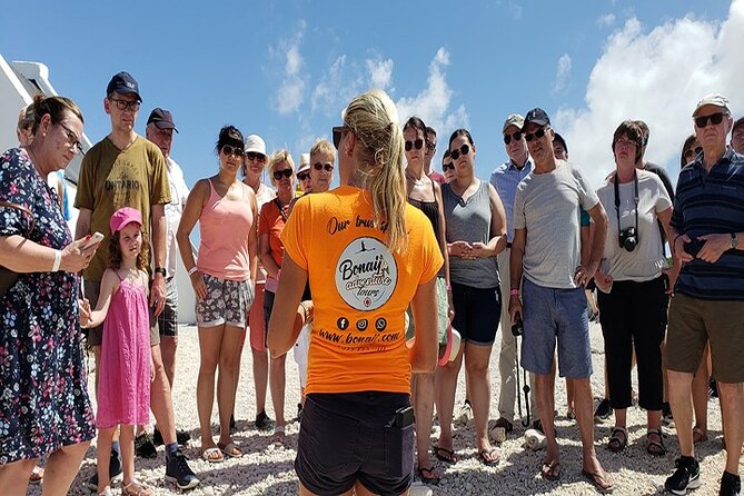 Bonaire Essentials Island Tour - Customer Experiences and Feedback