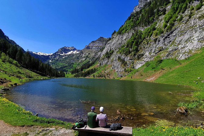 Breathtaking Private Hike With a Local Swiss Expert (1 Day Trip) - Scenic Locations Explored