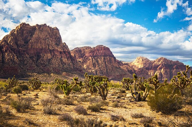 California Desert, Red Rock Sign and Seven Magic Mts - Pickup Locations and Schedule