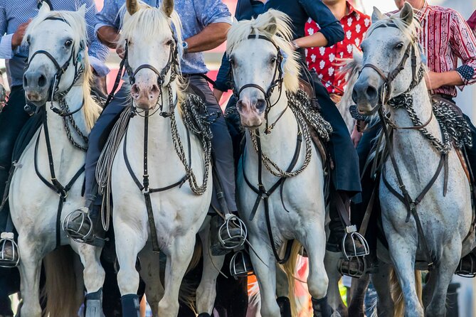 Camargue Small-Group Day Trip From Avignon - Inclusions and Logistics