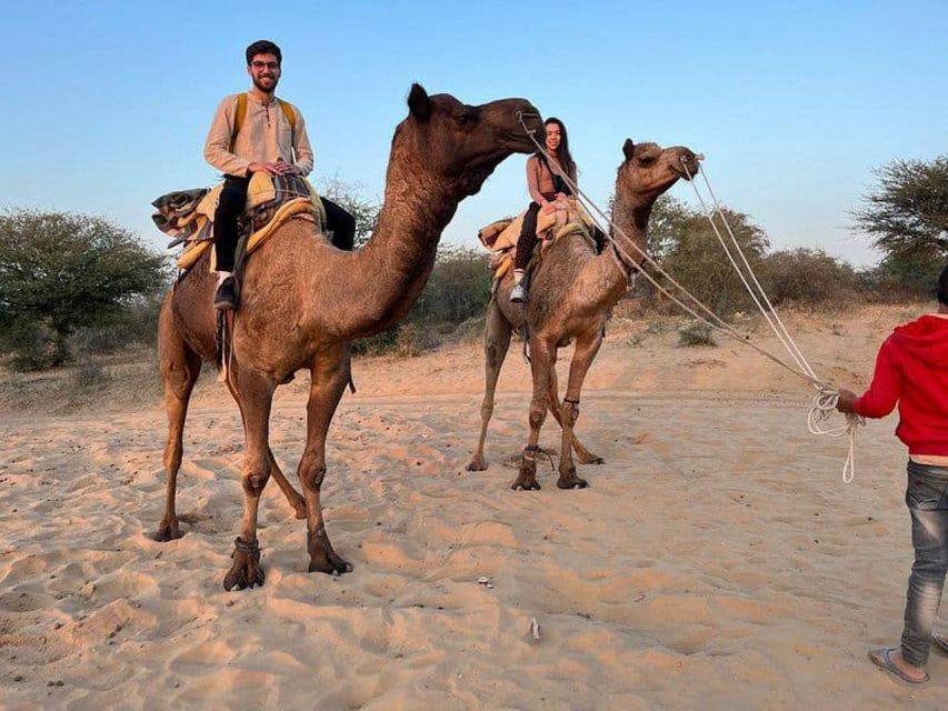 Camel Safari & Jeep Safari Private Tour From Jodhpur - Itinerary Details