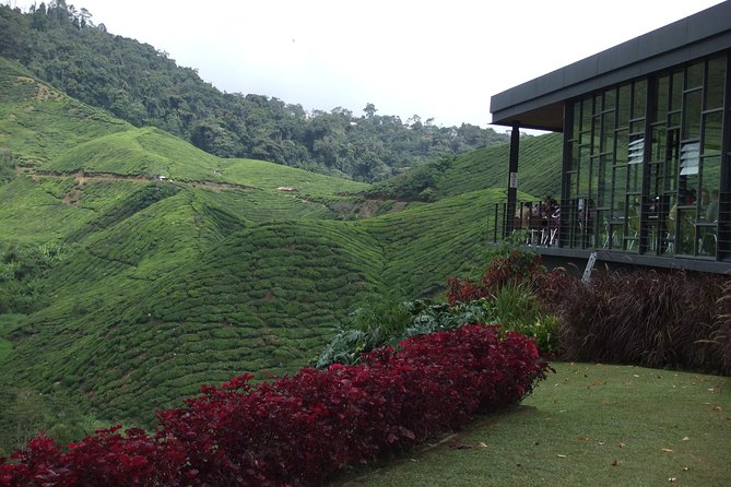 Cameron Highlands Amazing Day Trip Tour With Local Lunch - Inclusions and Logistics