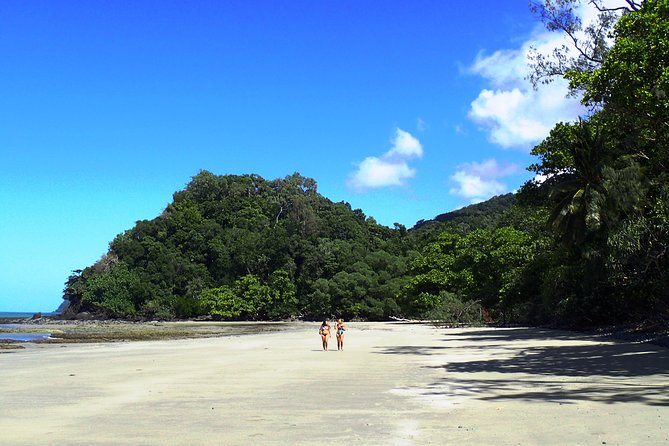 Cape Tribulation Day Tour From Cairns - Itinerary and Activities