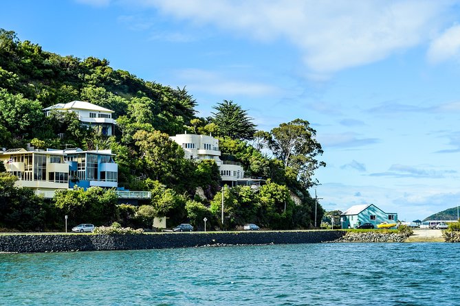 Captivating Side of Dunedin Walking Tour for Couples - Unique Experiences for Couples