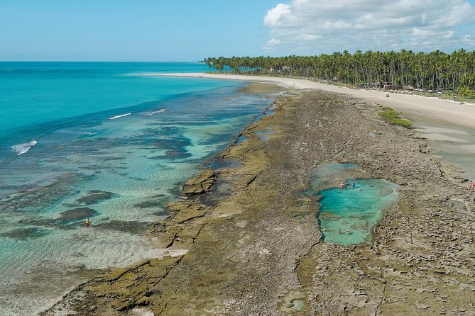 Carneiros Beach Tour From Maragogi With Costazul Turismo - Tour Inclusions and Features
