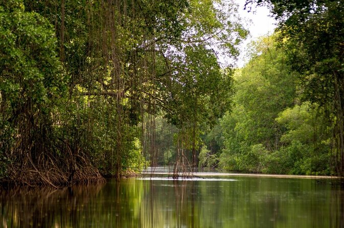 Caroni Swamp Wildlife Tour - Tour Duration and Pricing