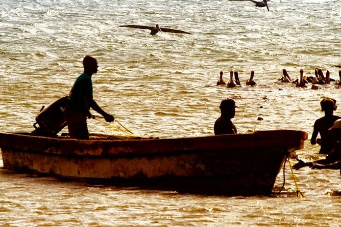 Cartagena: Horseback Riding at the Beach During Sunset - Meeting Point and Timing