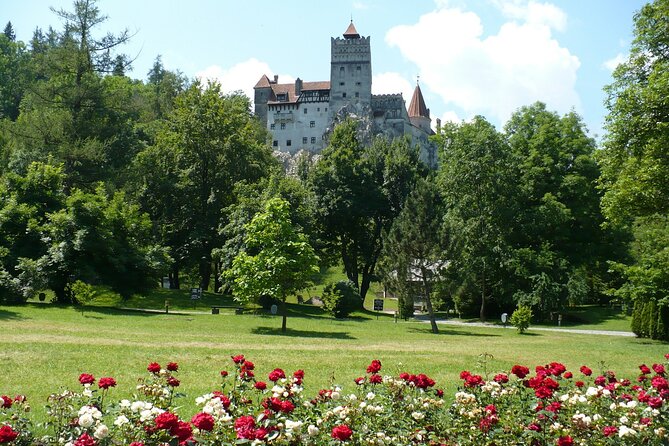 Castles Day Tour Peles - Bran - Rasnov From Brasov - Transportation and Accessibility