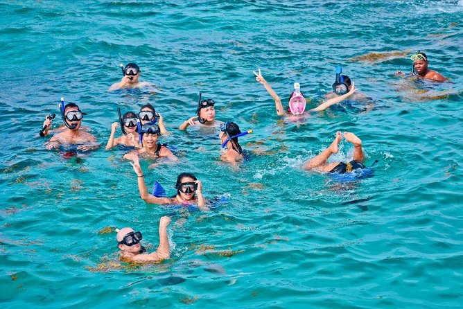 Catalina Island & Snorkling Tour Full Day All Inclusive - Inclusions of the Tour