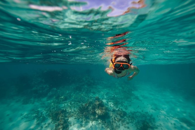 Catamaran and Snorkeling Cruise At Carlisle Bay - Booking Process