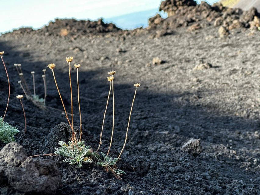 Catania: Etna Morning or Sunset Trek With Lava Tunnel & Gear - Itinerary Details