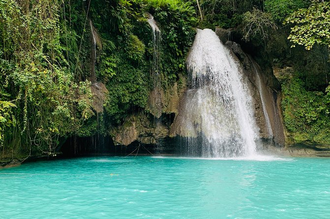 Cebu Oslob Whalesharks, Sumilon & Kawasan Waterfalls Tour - Whale Shark Snorkeling