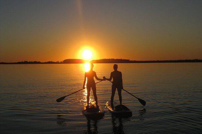 Charleston Stand-Up Paddleboard Eco Tour - Wildlife Encounter Opportunities