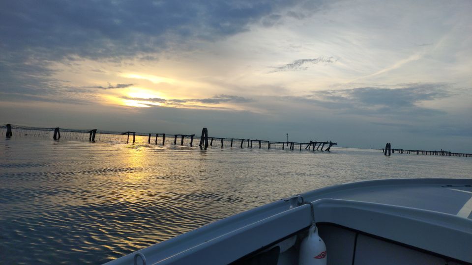 Chioggia: Discover Aquaculture Techniques in a Typical Boat - Experience Traditional Mussel Farming