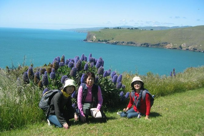 Christchurch Coastal Hiking Tour - Whats Included