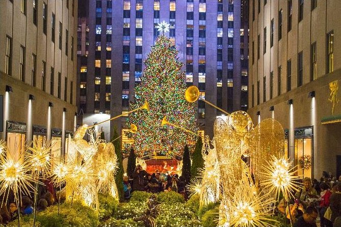 Christmas in New York: Private Holiday History Tour - Accessibility Features