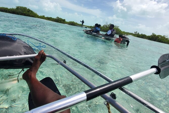 Clear Kayak Mangrove Eco Tour - Inclusions and Amenities