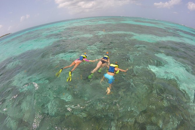 Coastline Snorkel and BBQ - Snorkeling Adventure Highlights