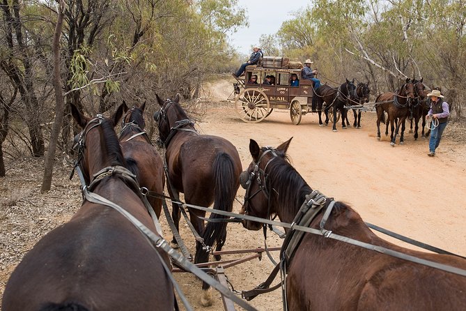 Cobb and Co Stagecoach Experience - Activities Included in the Tour