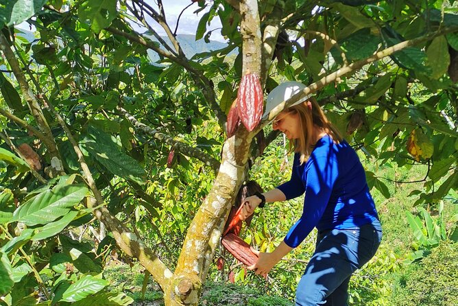 Coffee & Chocolate Private Tour: Two Farms - One Incredible Experience - Transportation Details